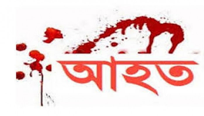জগন্নাথপুরে প্রতিপক্ষের হামলায় স্বামী-স্ত্রী আহত
