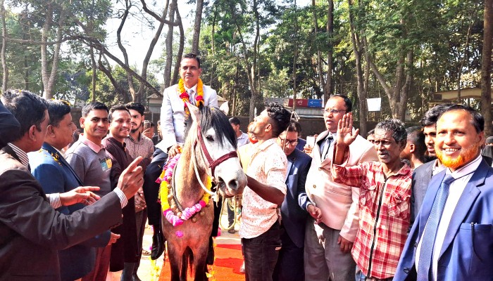 তাহিরপুরে অধ্যক্ষ জুনাব আলীকে রাজসিক বিদায় সংবর্ধনা