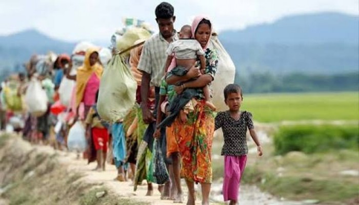 অন্তর্বর্তী সরকারের সময় বেড়েছে রোহিঙ্গা অনুপ্রবেশ