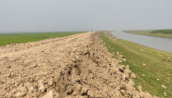 এবারো নির্ধারিত সময়ে শেষ হয়নি বাঁধের কাজ, ফসল রক্ষা নিয়ে শঙ্কা