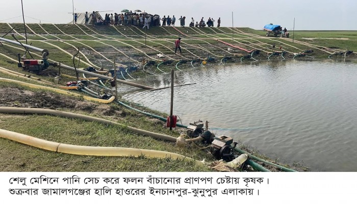 দায়সারা বাঁধে ফসলহানির শঙ্কা