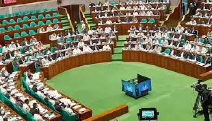 জুলাই যোদ্ধাদের পুনর্বাসন বিল সংসদে পাস