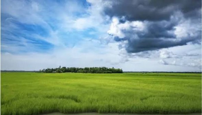 আসমানে মেঘ দেখলেই কৃষকের মনে শঙ্কা