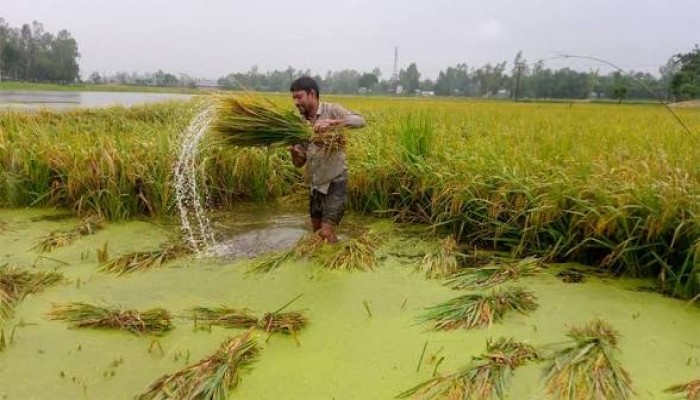 ২৮ এপ্রিল থেকে আকস্মিক বন্যা পরিস্থিতি সৃষ্টির ঝুঁকি
