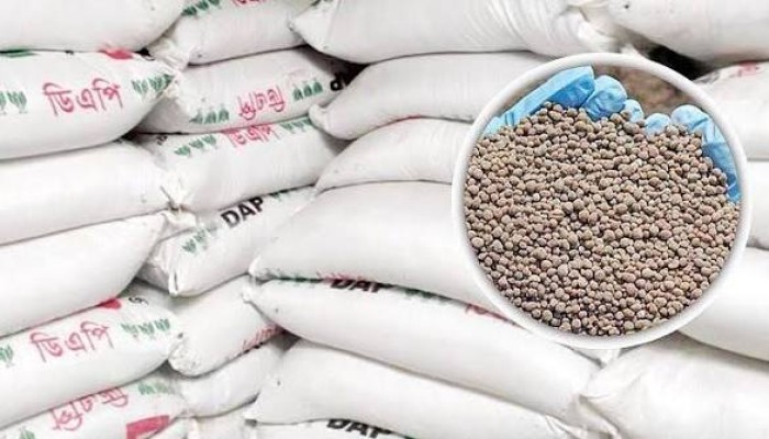 পাচার হচ্ছে সরকারের ভর্তুকির সার
