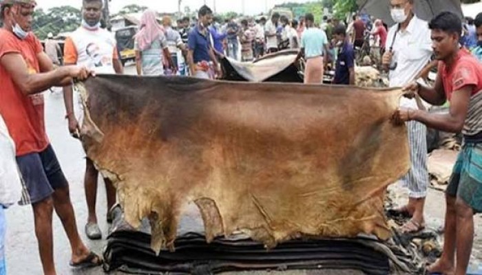 কোরবানি পশুর চামড়ার দাম নির্ধারণ করলো সরকার