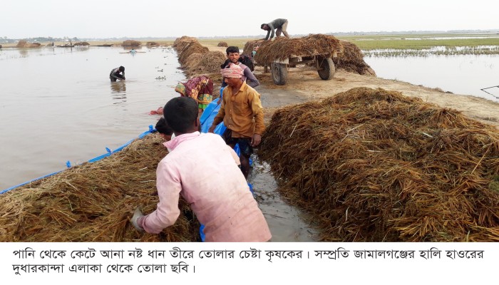 তালিকায় অনিয়ম-স্বজনপ্রীতি, ক্ষোভ কৃষকের