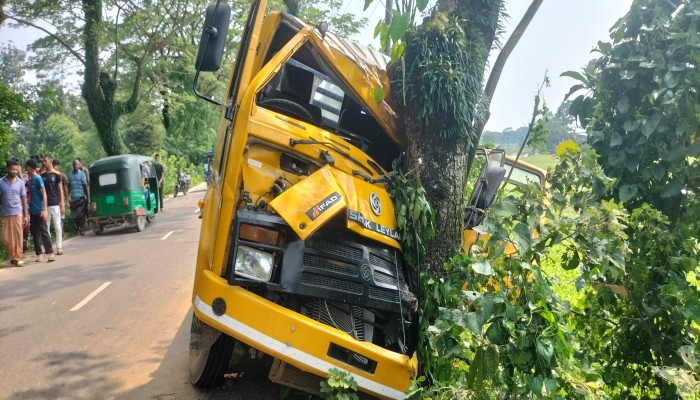 গাছের সঙ্গে ট্রাকের ধাক্কায় ইটভাটা কর্মী নিহত, অটোরিকশার চাপায় প্রাণ গেল ৬ বছরের শিশুর
