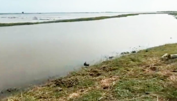 দেড় কোটি টাকা বরাদ্দের খাল খননে দুর্নীতির অভিযোগ