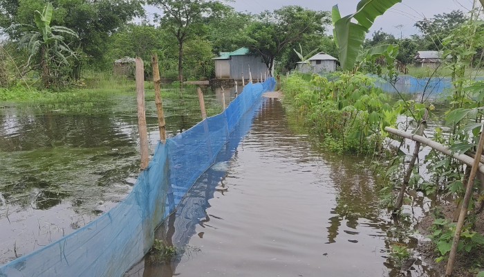 অবৈধভাবে তিন কালভার্ট বন্ধের অভিযোগ, জলাবদ্ধতায় জনদুর্ভোগ চরমে