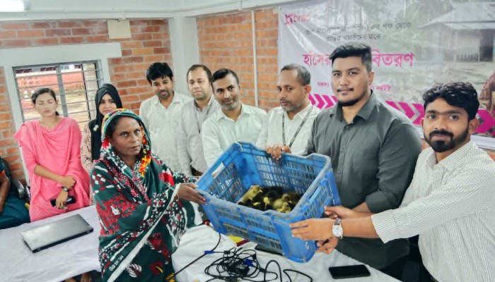 ব্র্যাকের উদ্যোগে প্রান্তিক খামারিদের মধ্যে হাঁসের বাচ্চা বিতরণ