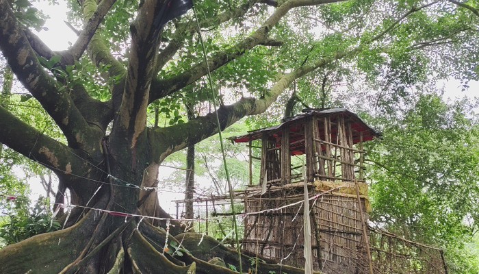 কথিত পীরের আস্তানায় ভ্রাম্যমাণ আদালতের অভিযান, দেশীয় অস্ত্র উদ্ধার
