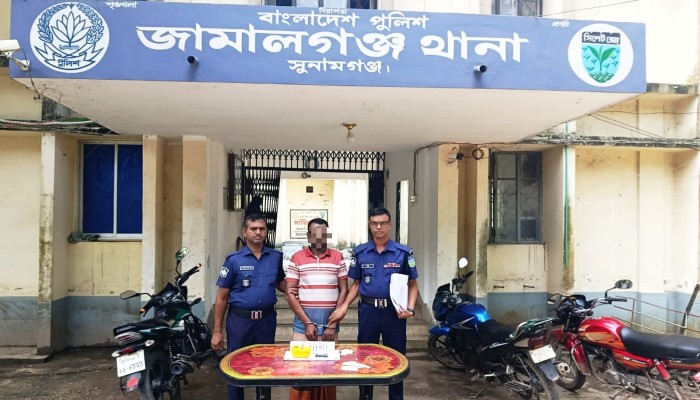 জামালগঞ্জে পৃথক অভিযানে ১৮৫ পিস ইয়াবা উদ্ধার, দুইজন গ্রেপ্তার