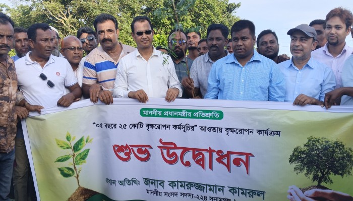 ধর্মপাশায় বৃক্ষরোপণ কর্মসূচি উদ্বোধন