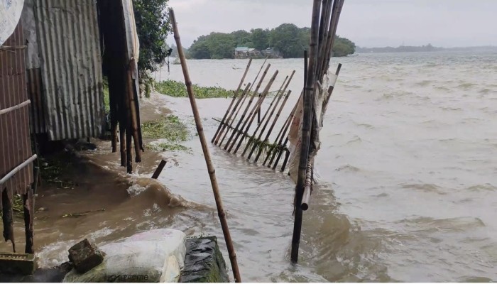 হাওরের আতঙ্ক ‘আফাল’