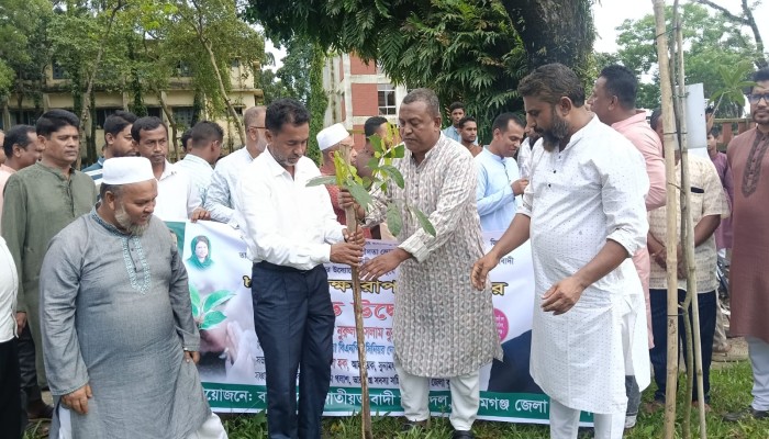 বৃক্ষরোপণই জলবায়ু পরিবর্তন মোকাবিলার কার্যকর উপায়: এমপি নূরুল ইসলাম নূরুল