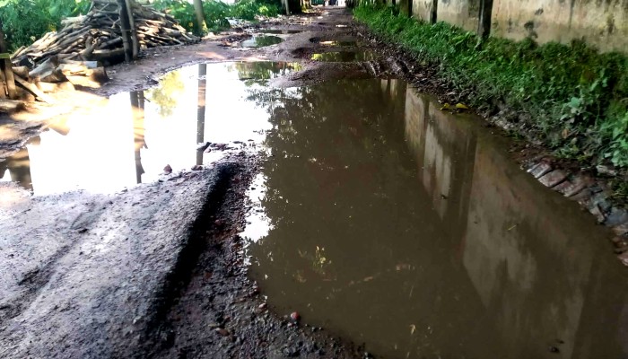 জগন্নাথপুরে বেহাল সড়কে চরম ভোগান্তি