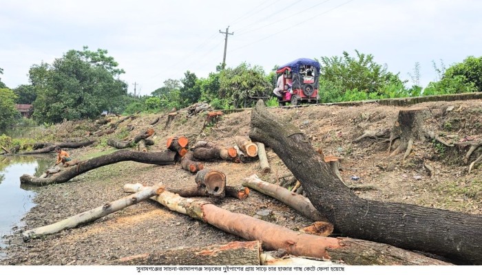 প্রতিবাদের মুখে বন্ধ হলো চার হাজার বৃক্ষ কর্তন, তদন্ত কমিটি গঠন