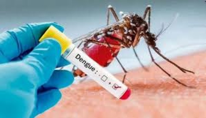 ডেঙ্গুতে আরও ৫ জন মারা গেছেন