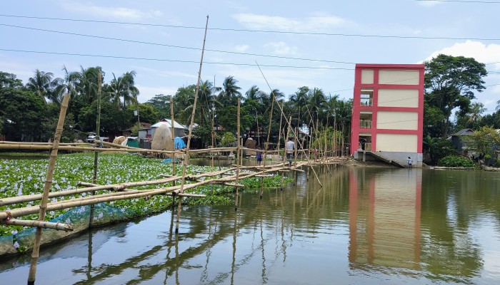 বাঁশের সাঁকোয় ঝুঁকিপূর্ণ পারাপার কয়েক হাজার মানুষের