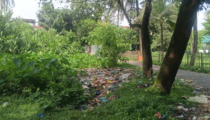 উকিলপাড়ার পুকুর যেন ময়লার ভাগাড় দুর্গন্ধ ও মশার উপদ্রবে অতিষ্ঠ এলাকাবাসী