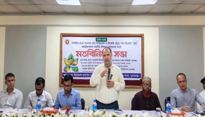 হাসাউড়ার আনারস চাষ সম্প্রসারণ ও জিআই স্বীকৃতি নিয়ে মতবিনিময়