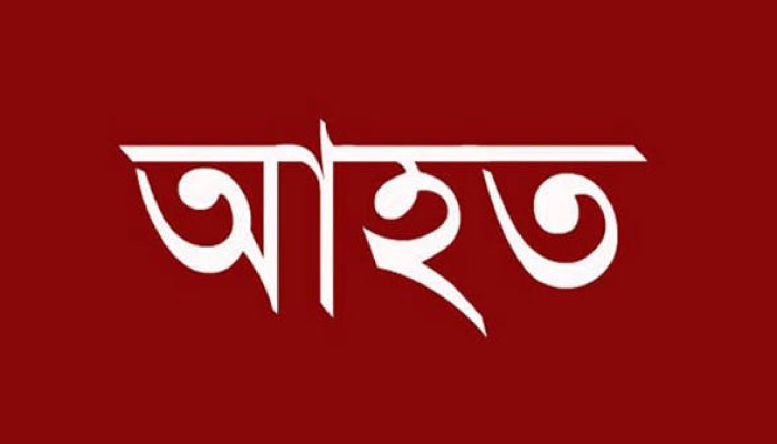 জামালগঞ্জে অটোরিকশা উল্টে আহত ৫