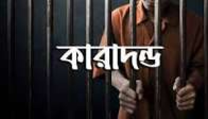 মাদক সেবনে টাকা না পেয়ে মা-বাবাকে নির্যাতন, যুবককে এক বছর কারাদণ্ড